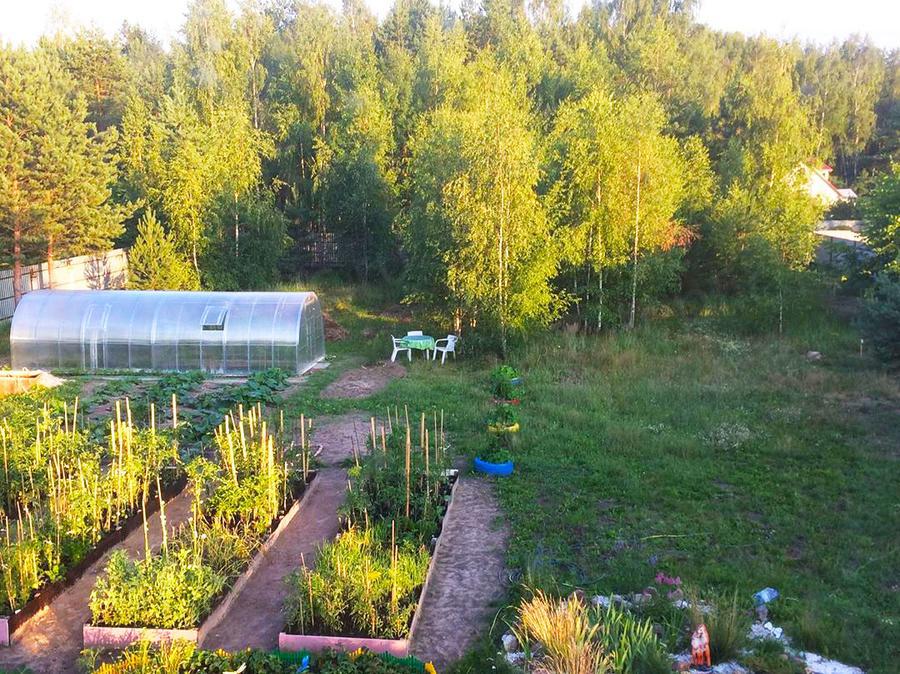 Любовь Агафонова. Владимирская область