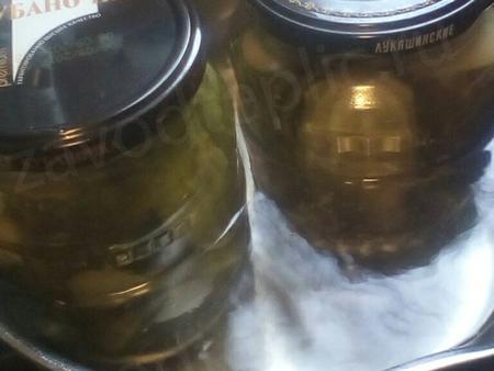 Наталья Брикс. Ленинградская область