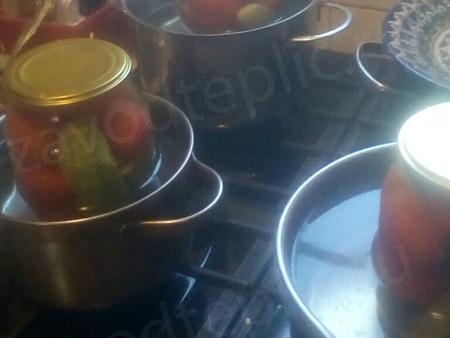 Наталья Брикс. Ленинградская область