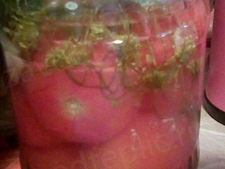 Наталья Брикс. Ленинградская область