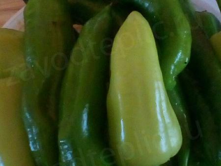 Наталья Брикс. Ленинградская область