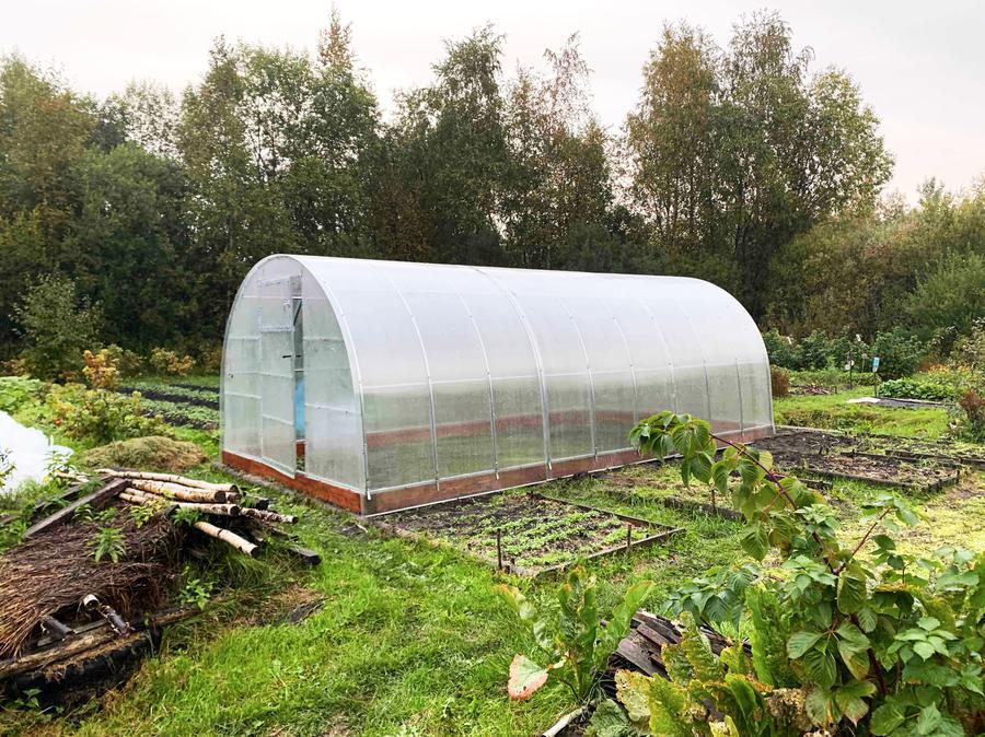 Виктор. Костромской район, д. Борщино