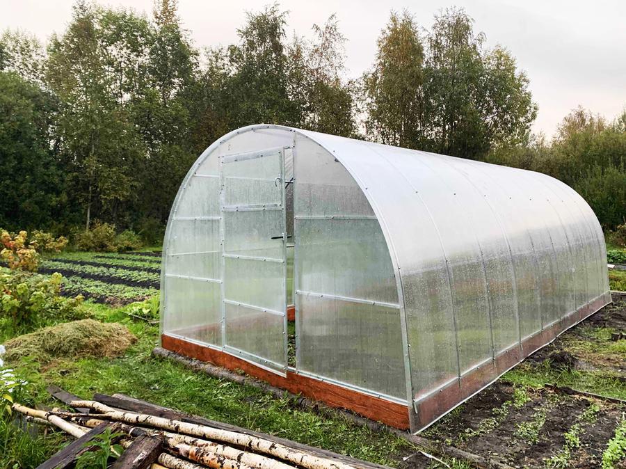 Виктор. Костромской район, д. Борщино