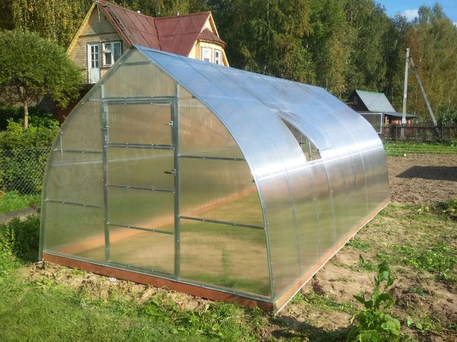 Марина Павловна. г. Владимир