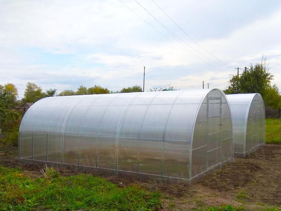 Григорьева В.А. Саратовская область, п. Лысые горы