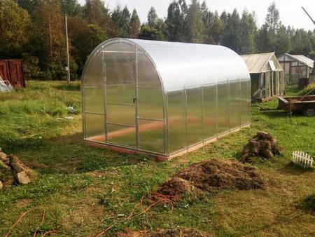 Галина Мефодьевна. г. Псков