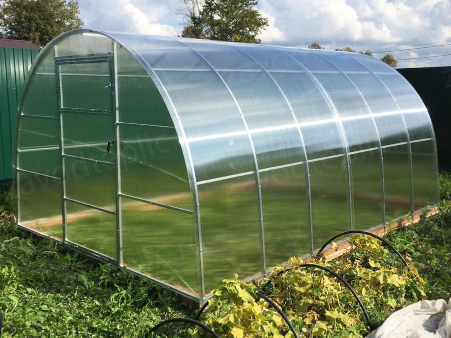 Татьяна Ивановна. Сергиево-Посадский район, п. Зеленый