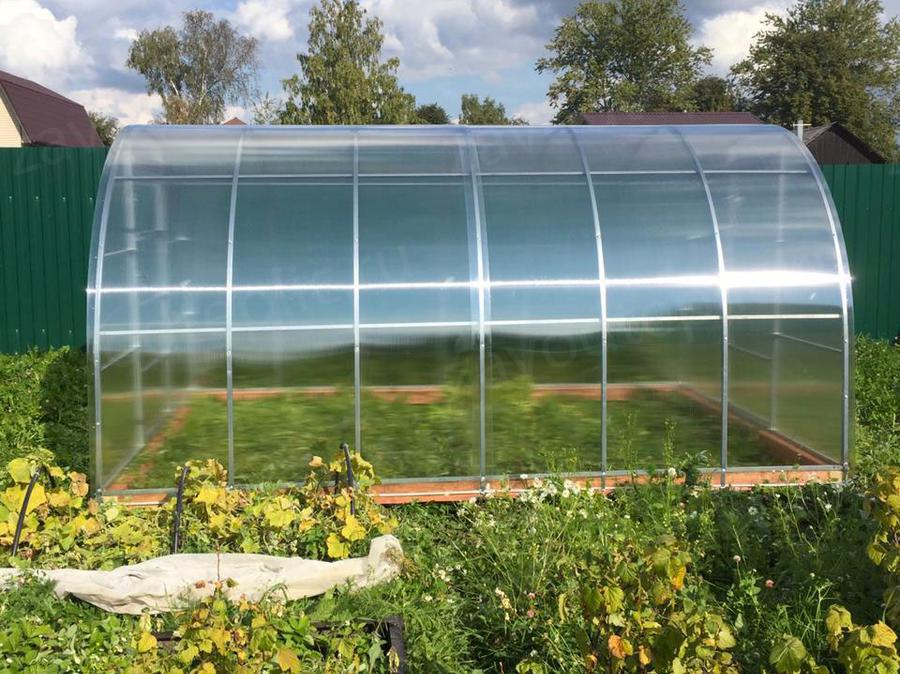 Татьяна Ивановна. Сергиево-Посадский район, п. Зеленый