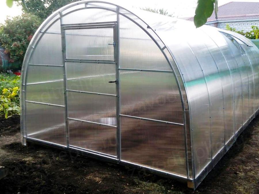 Николай Николаевич. Краснодарский край, ст. Выселки