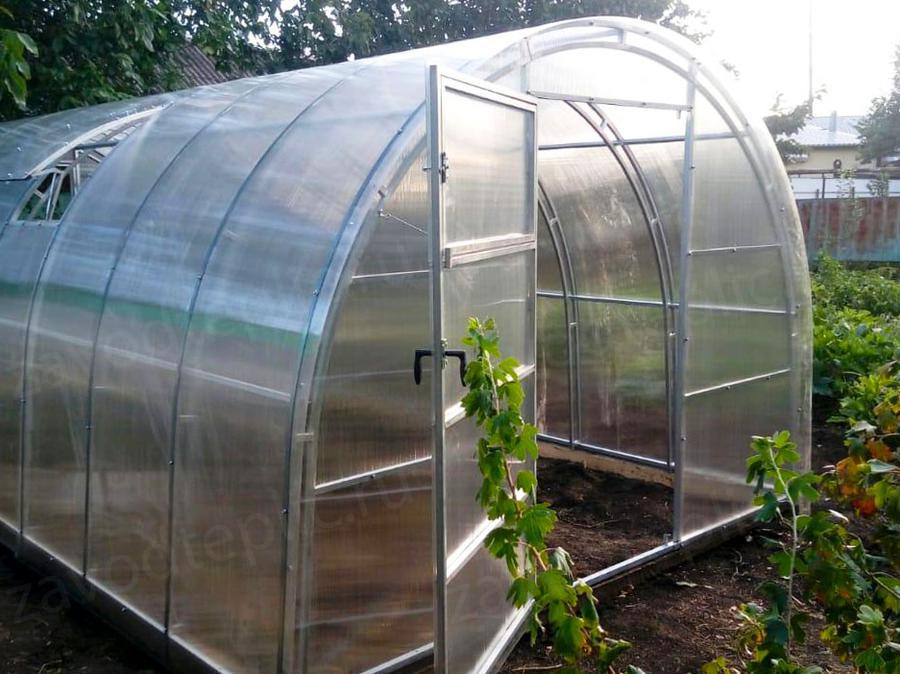 Николай Николаевич. Краснодарский край, ст. Выселки