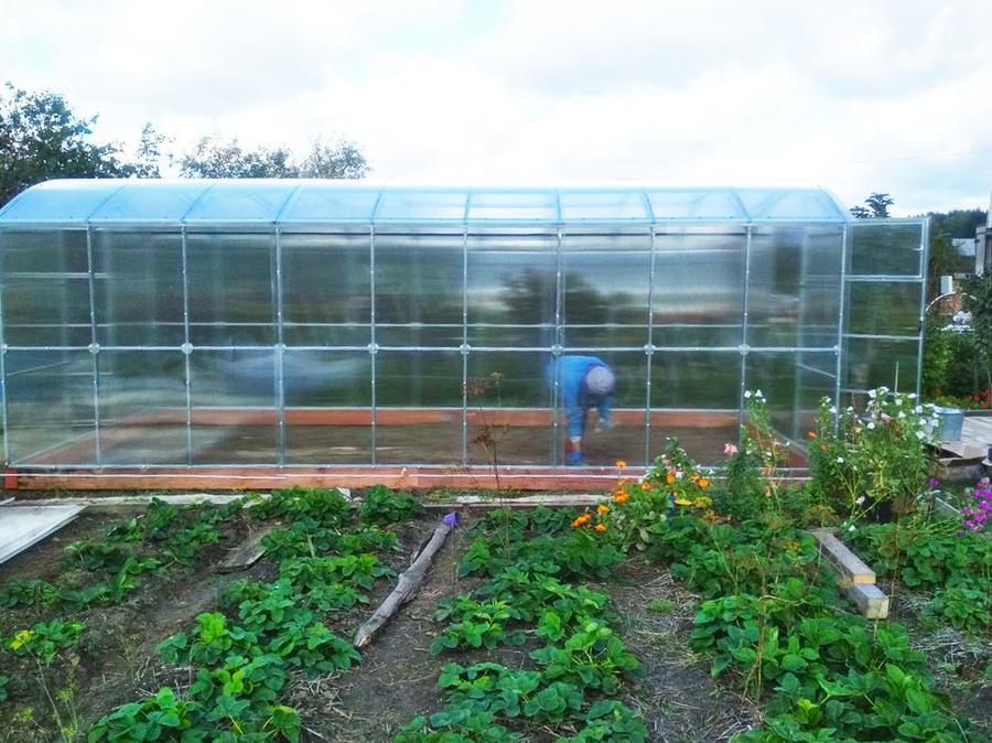 Светлана Сергеевна. г. Владимир