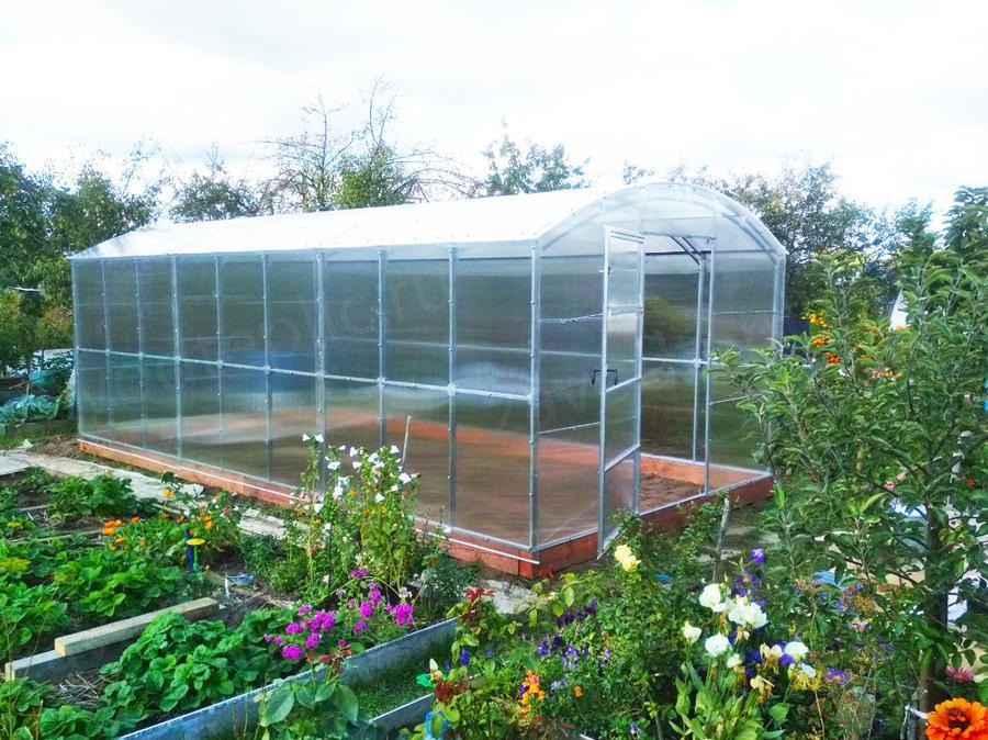 Светлана Сергеевна. г. Владимир