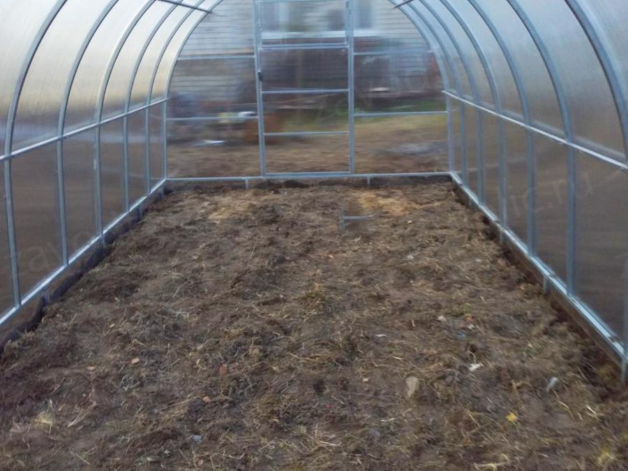 Денис. Рязанская область, п. Тума