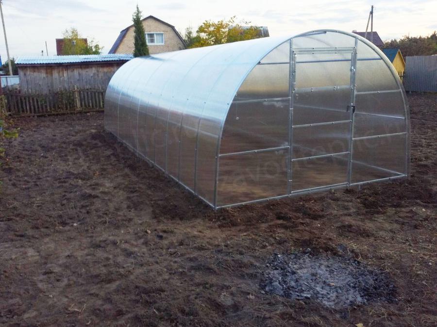 Денис. Рязанская область, п. Тума