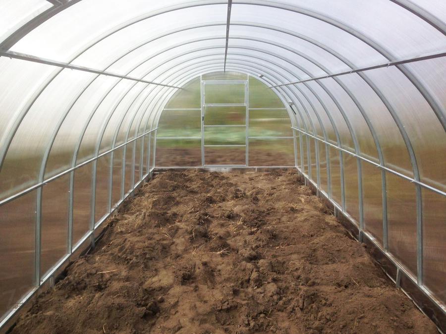 Ольга Владимировна.Тамбовская область, г. Котовск