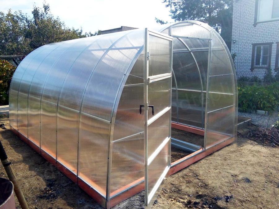 Картушина Вера Вячеславовна