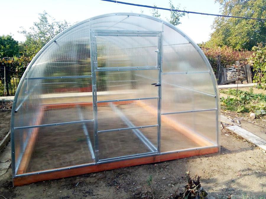 Картушина Вера Вячеславовна