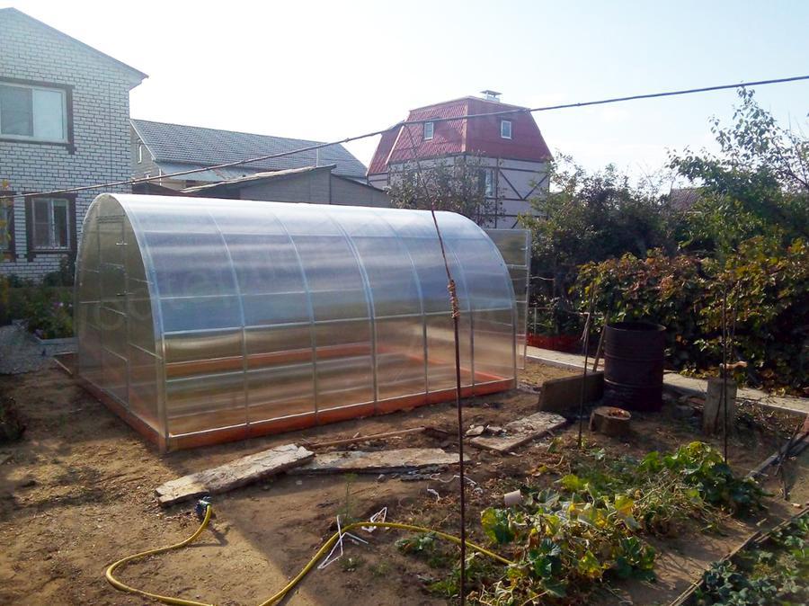 Картушина Вера Вячеславовна