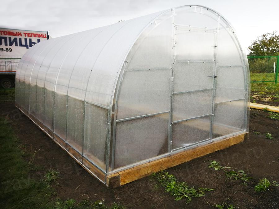 Илья. Рязанская область, п. Перкино