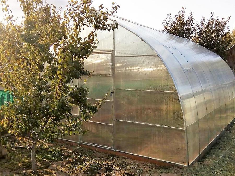 Сергей. Саратовская область, г. Балаково