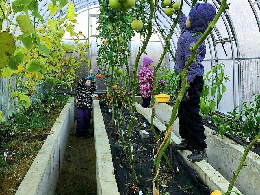 Валентина. Ленинградская область, п. Ропшинская Долина