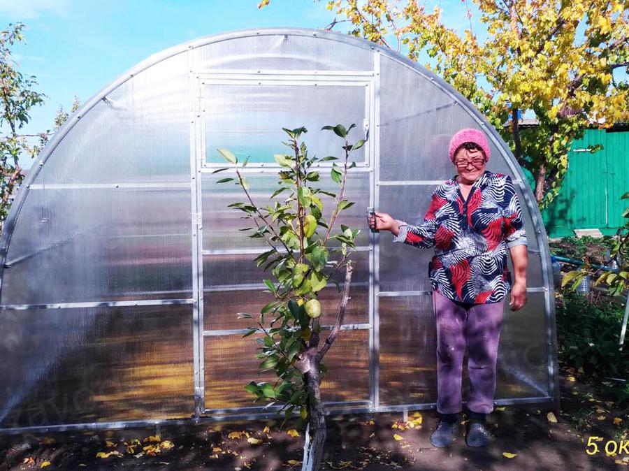 Ольга Николаевна. г. Самара