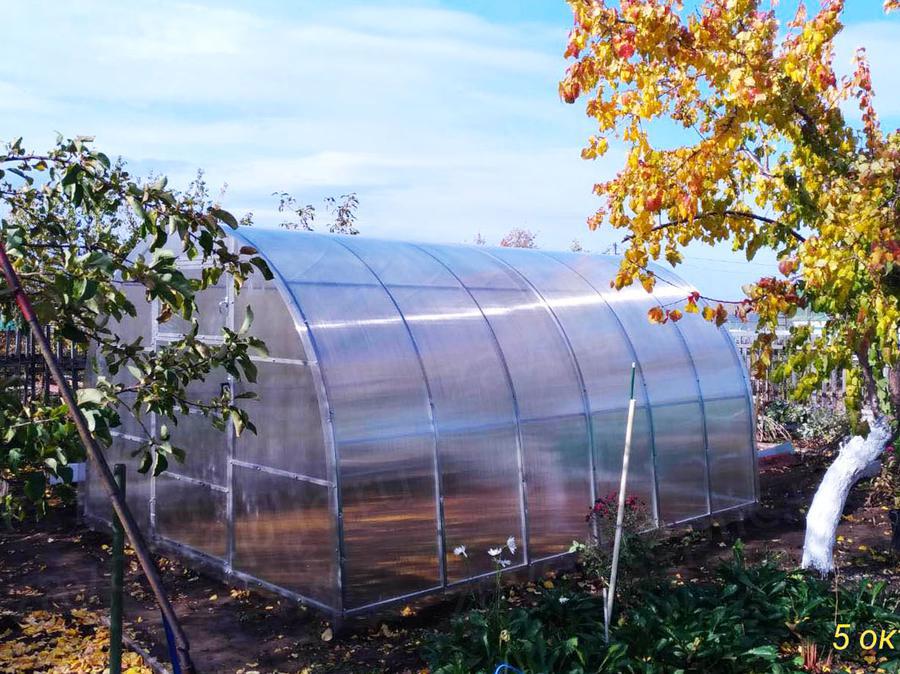 Ольга Николаевна. г. Самара