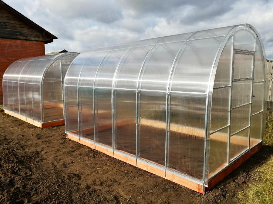 Елена. Рязанская область, п. Агро-пустынь