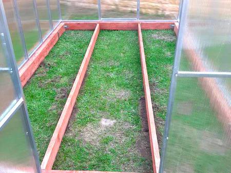 Антон Сергеевич