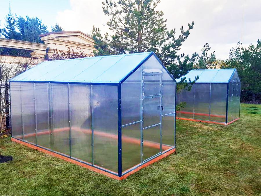 Вера Фёдоровна