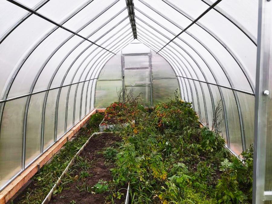 Рашида Раисовна