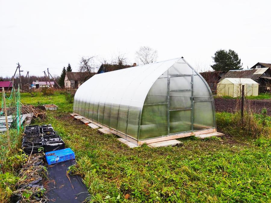 Рашида Раисовна