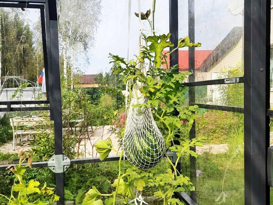 Коллеников Андрей Юрьевич