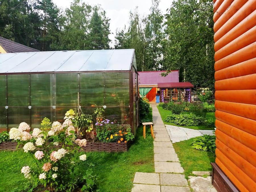 Туманова Дарья