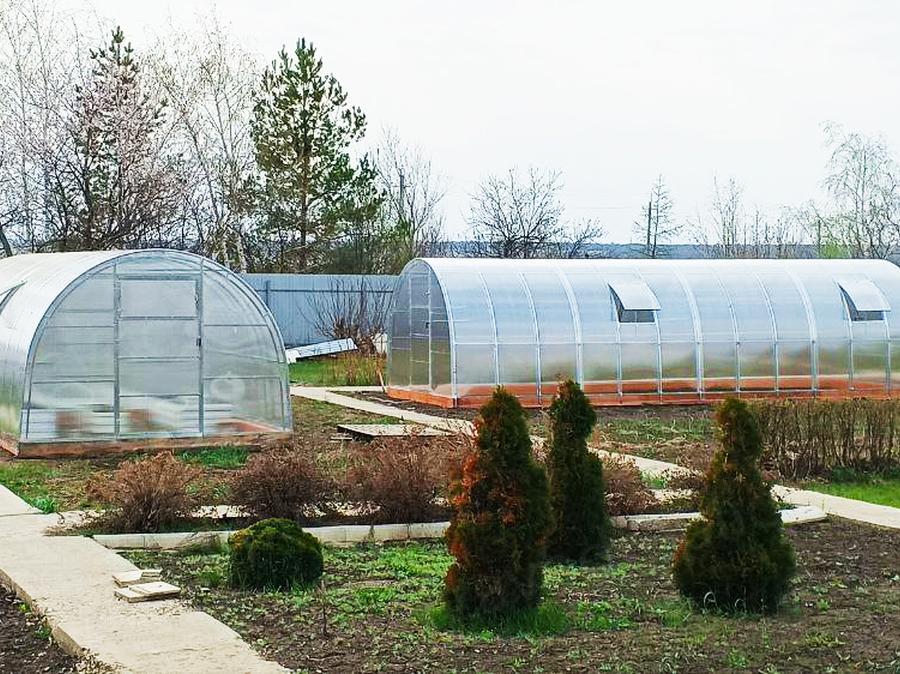 Александр Александрович