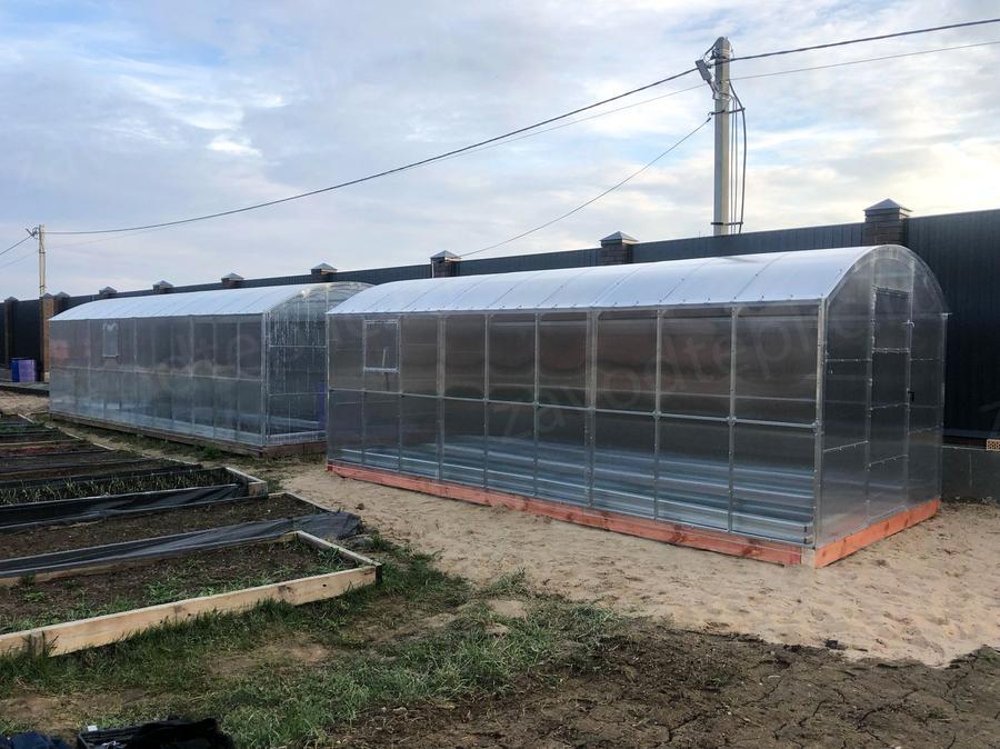 Юлия Алексеевна