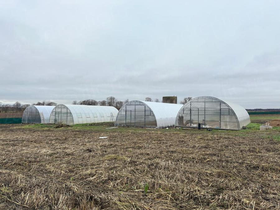 Степанов Андрей