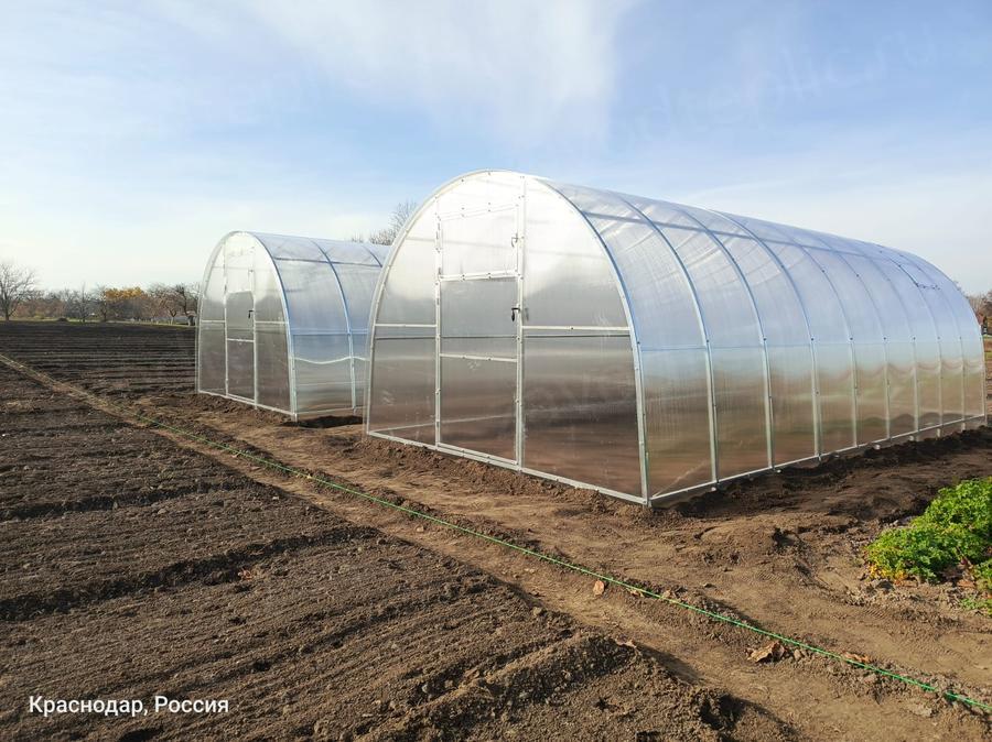 Салий Михаил 