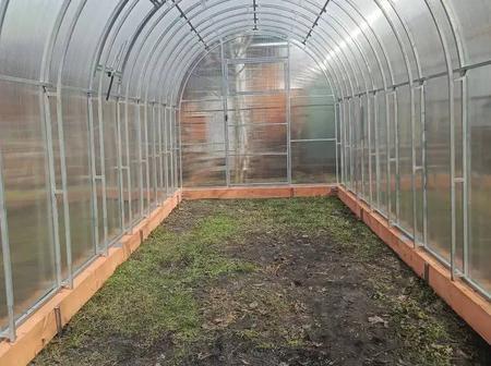 Елена Михайловна