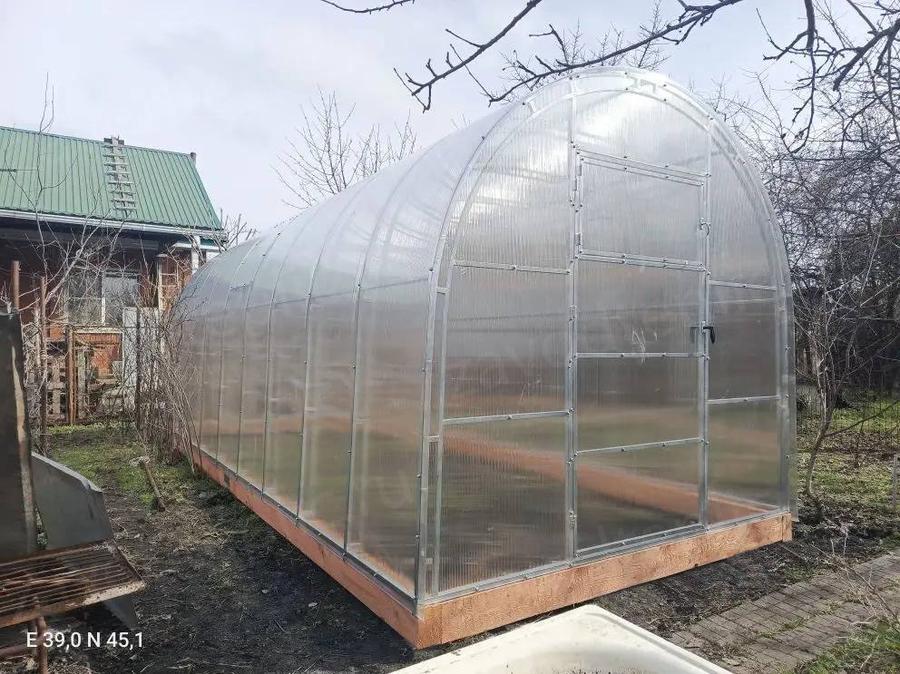 Елена Михайловна