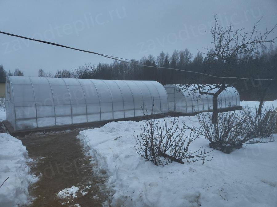 Евгения Михайловна 