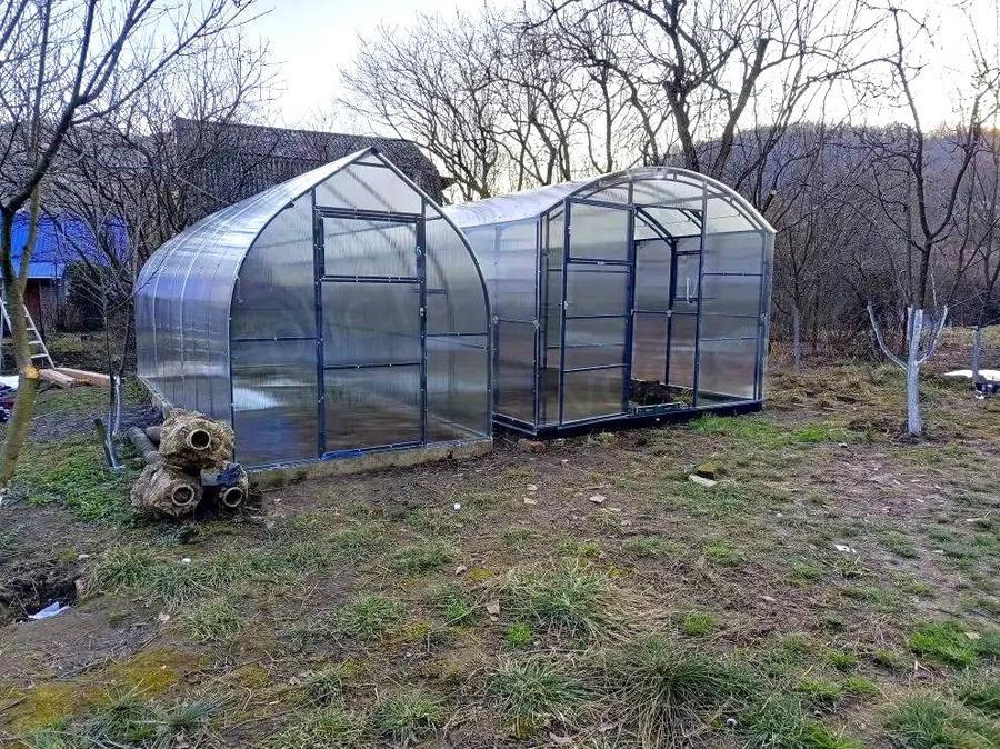 Елена Николаевна