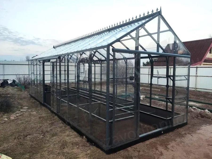 Полина Сергеевна