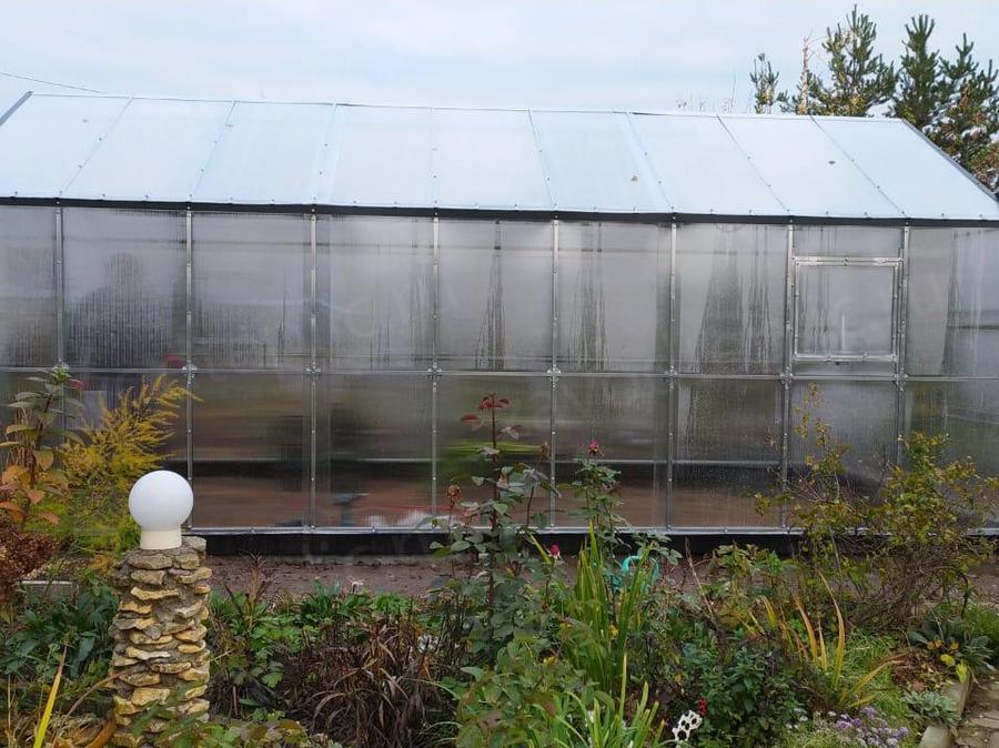 Воронцов Дмитрий