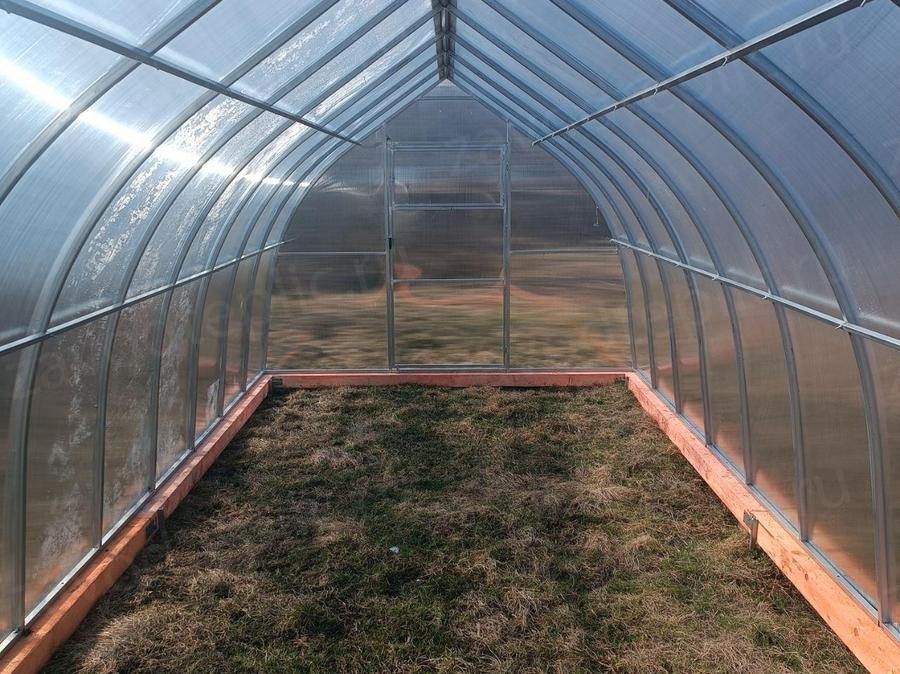 Людмила Николаевна 