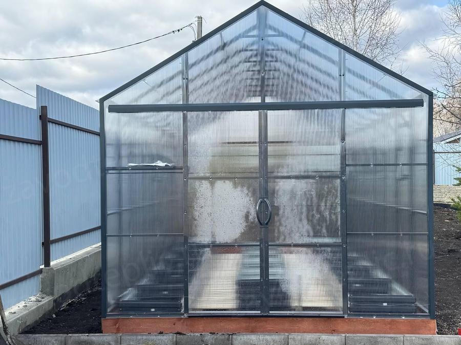 Борисова Евгения