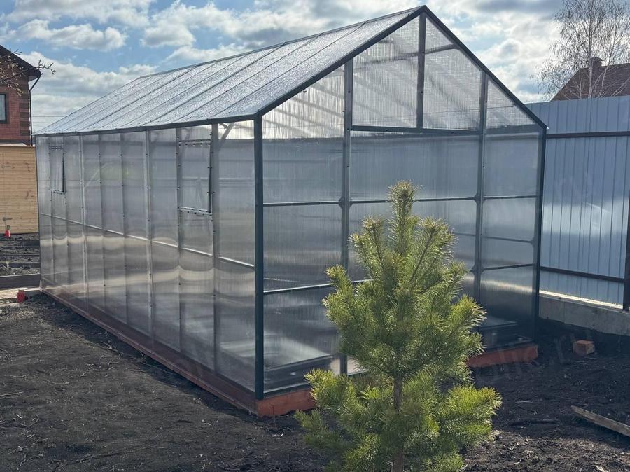 Борисова Евгения