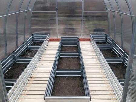 Шевченко Татьяна Григорьевна