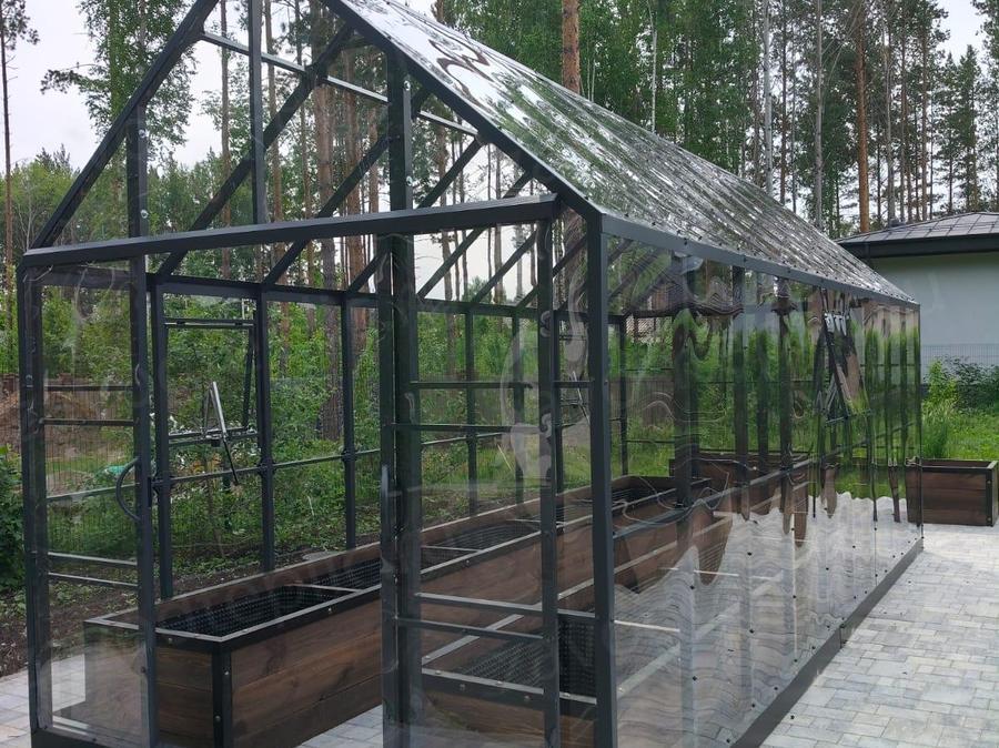 Светлана Васильевна