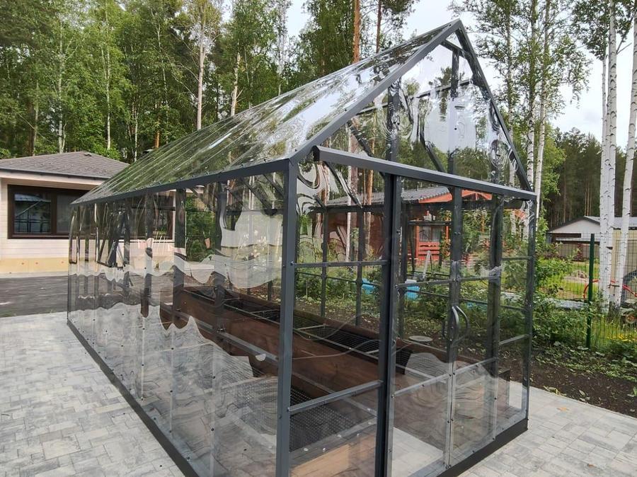 Светлана Васильевна
